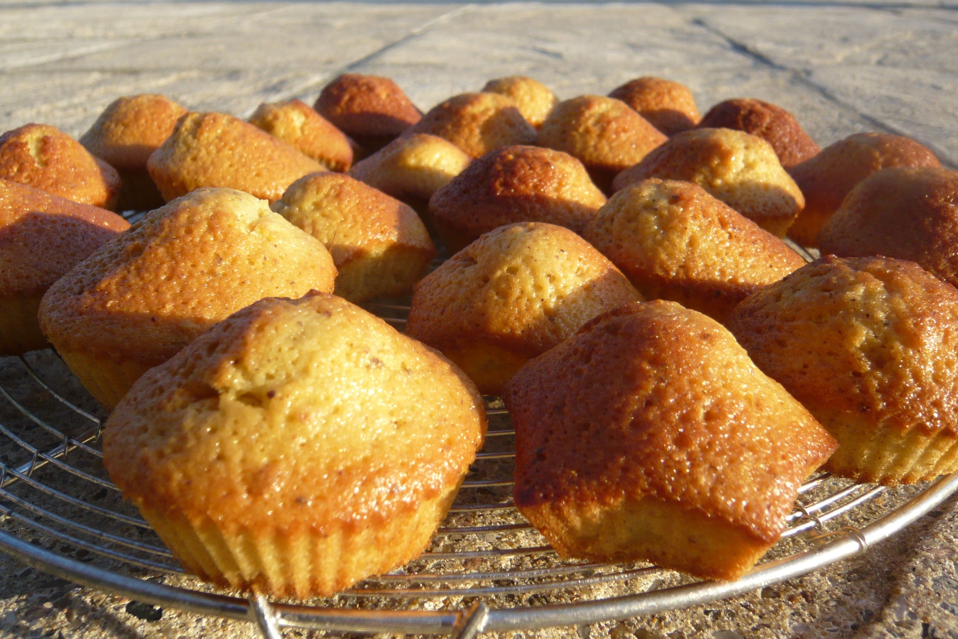 image de Gâteau au yaourt et noisettes