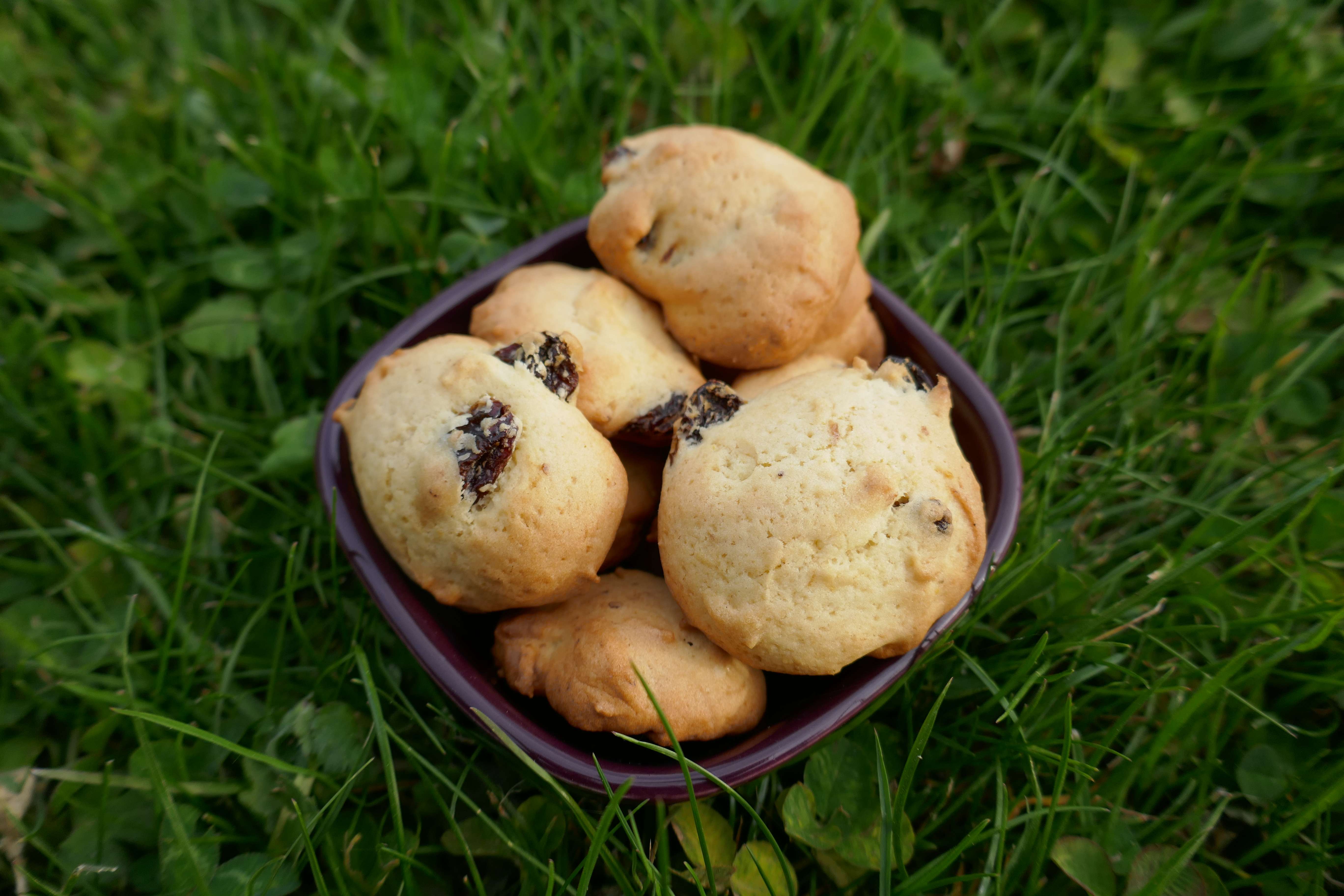 image de Sanvigilini